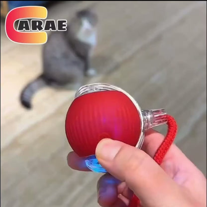 Automatic Cat Ball Toy